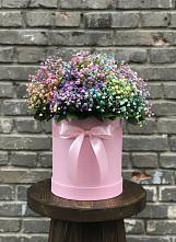 Цветочная композиция из Гипсофила и Розы в шляпной коробке #REPLACE_PRED# Анне