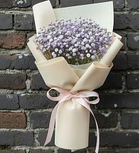 Букет цветов из:  Гипсофила в Анне