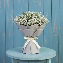Букет цветов из:  Гипсофила в Анне