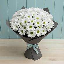 Букет цветов из:  Хризантемы #REPLACE_PRED# Анне