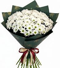 Букет цветов из:  Хризантемы #REPLACE_PRED# Анне