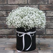 Цветочная композиция из Гипсофила в шляпной коробке в Анне