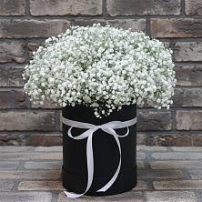 Цветочная композиция из Гипсофила в шляпной коробке в Анне